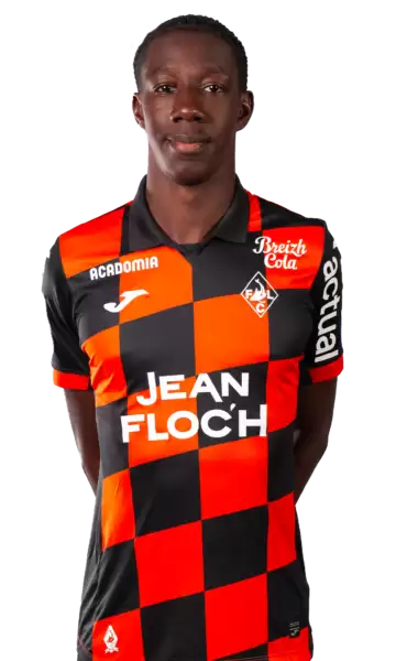 班迪乌古·法迪加